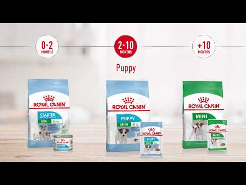 Royal Canin | Size Health Nutrition | Mini