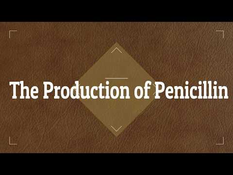 The Production of Penicillin-How Penicillin is made || Essential Science ||