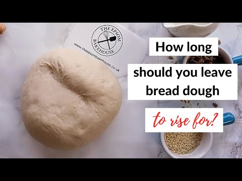 How long should you leave bread dough to rise for?