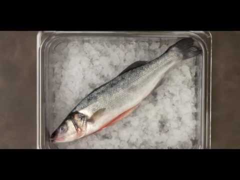 how to store and preserve fish